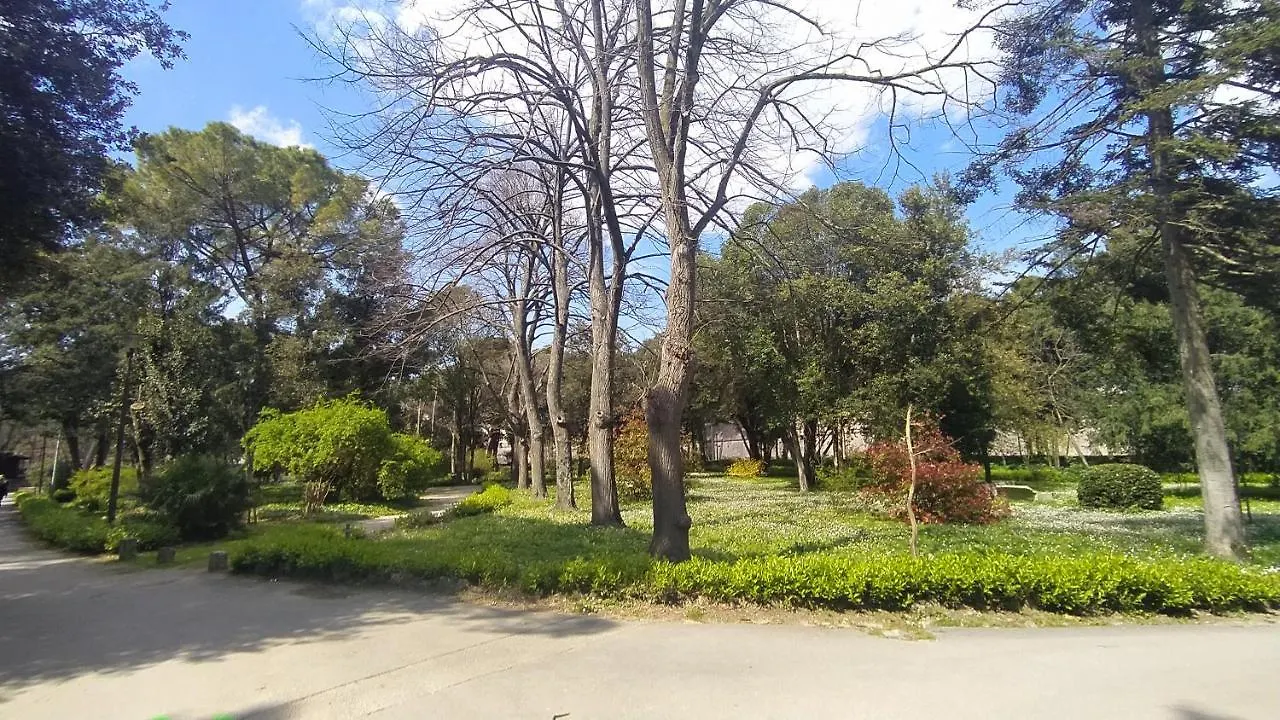 Apartment Antique Zadar - City Center